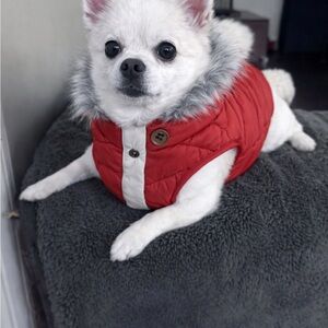 Brand New Cozy Puppy/Dog Winter Vest – Small to Medium – Only $10!